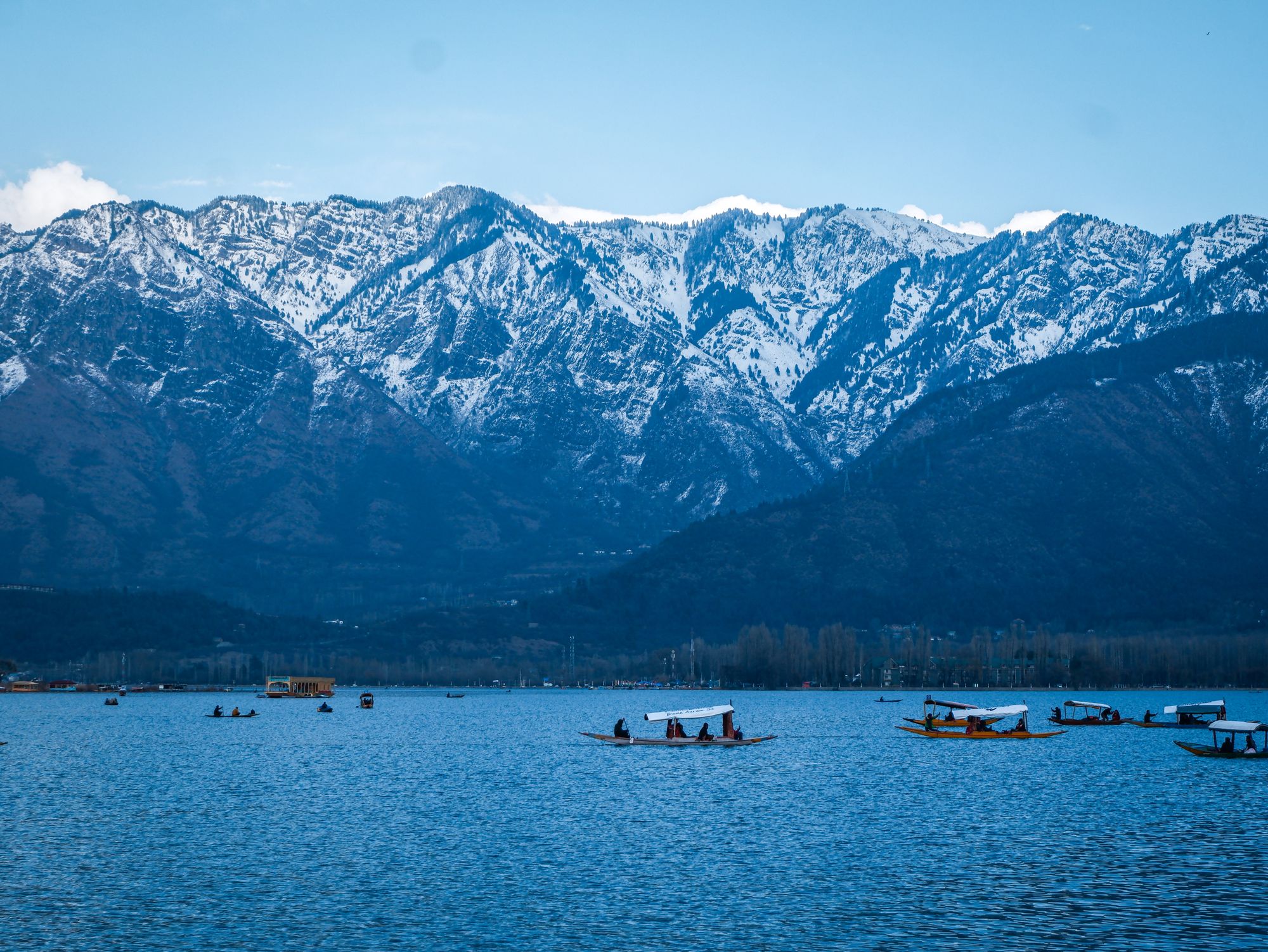 Kashmir Delight