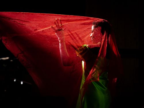 Free A captivating artistic portrait of a woman wrapped in a red veil, evoking mystery and elegance. Stock Photo