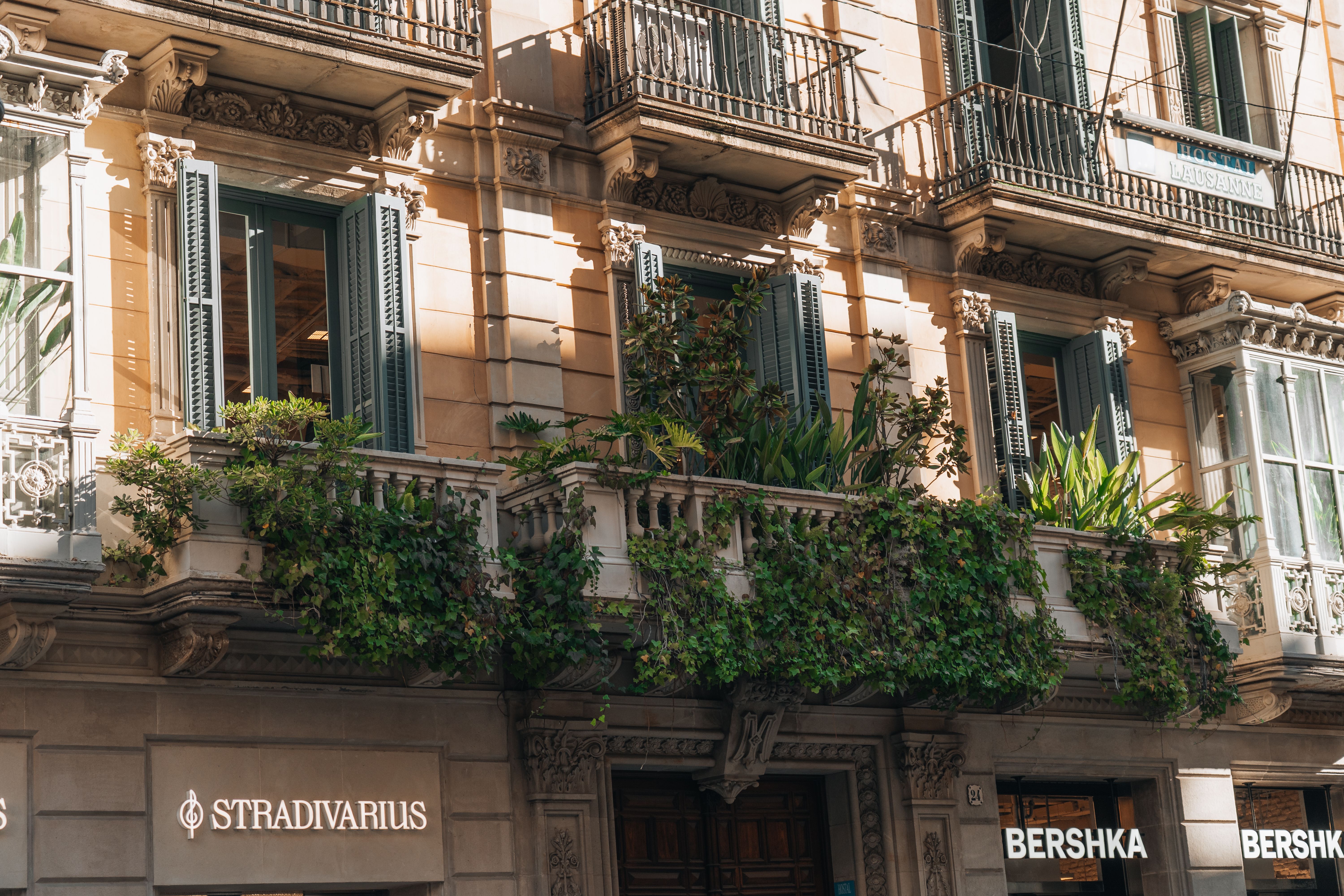 Elegant European building facade with greenery · Free Stock Photo