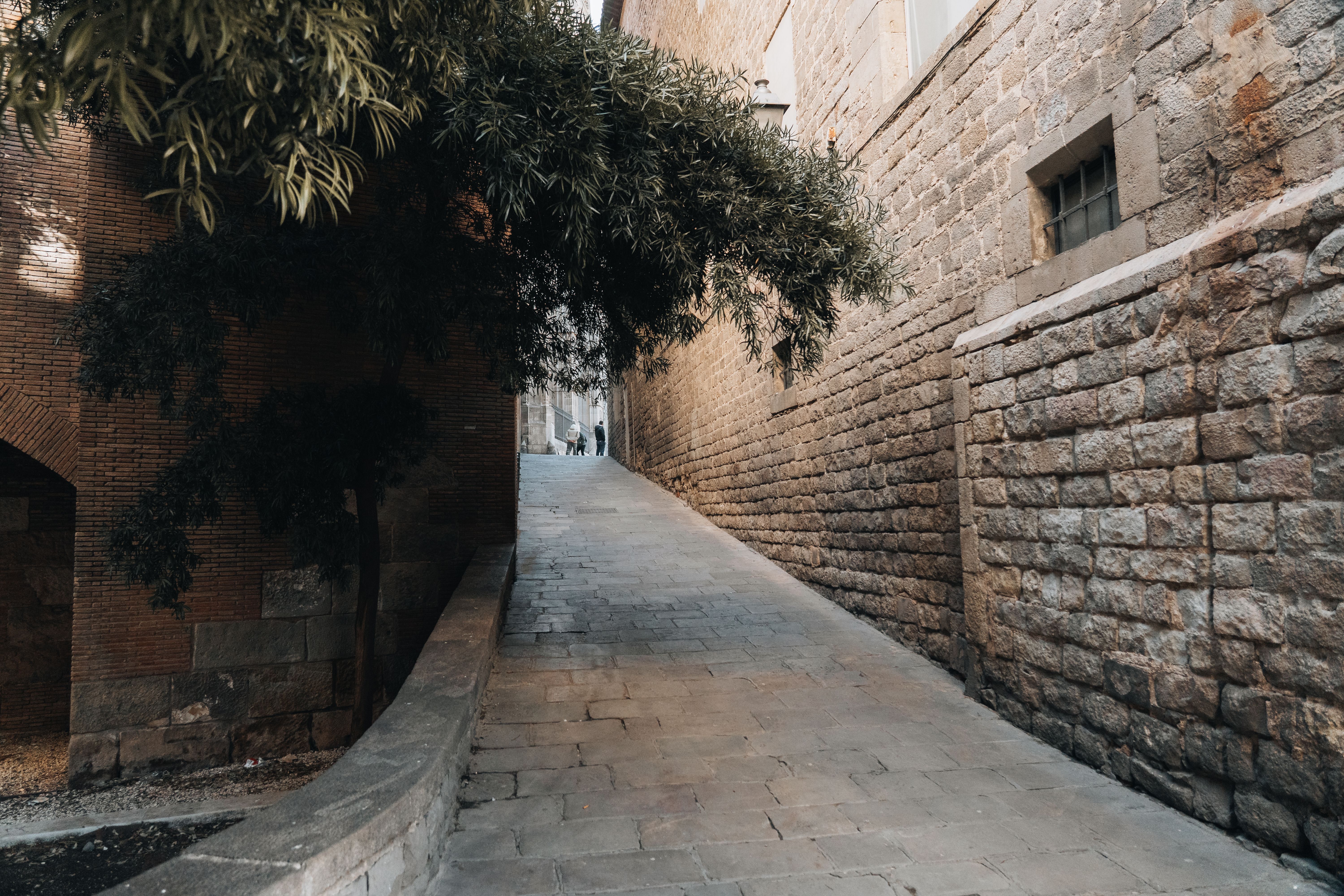 Un callejón de piedra estrecho en un barrio de ciudad vieja