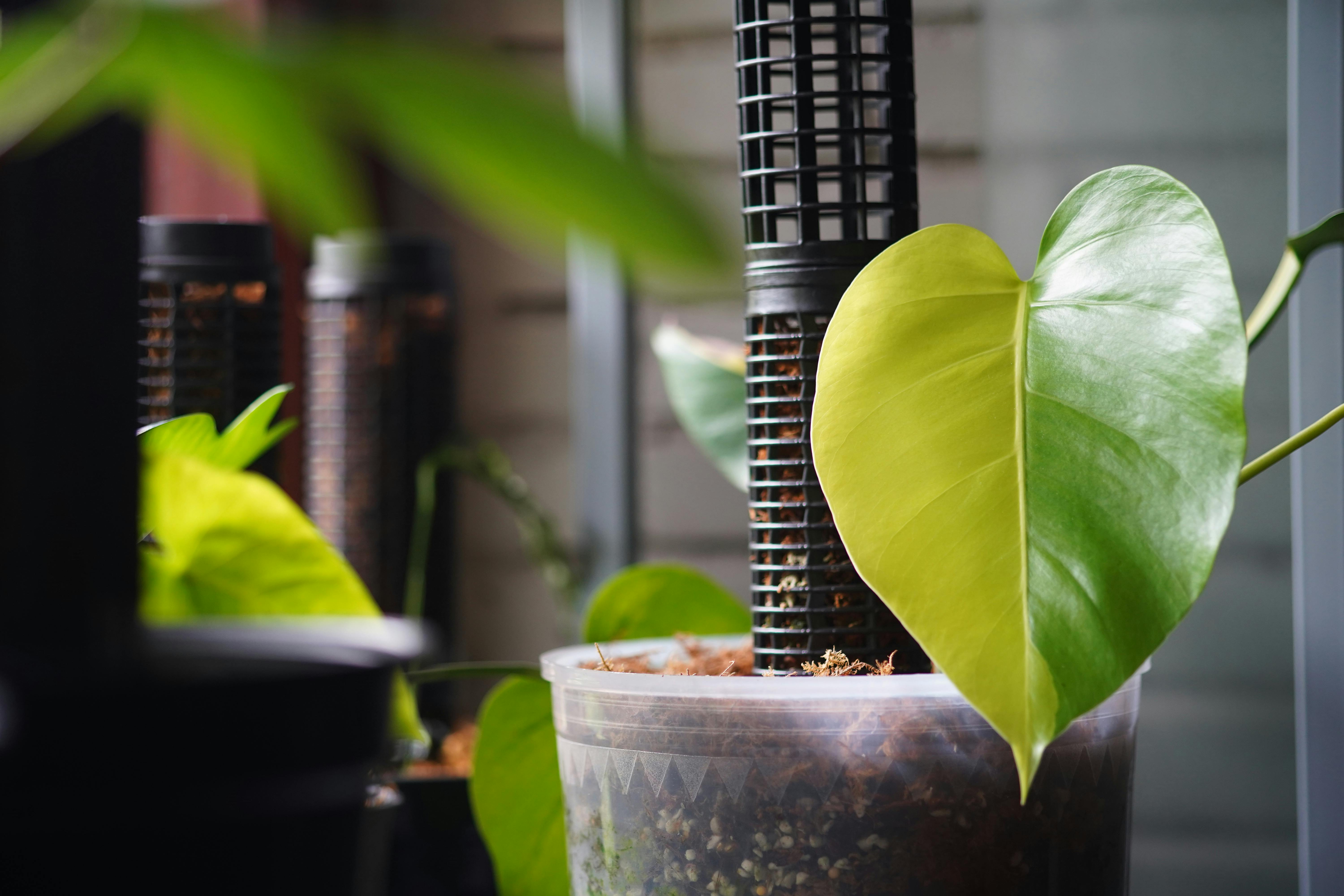 환급과 추가 납부는 어디서 갈릴까