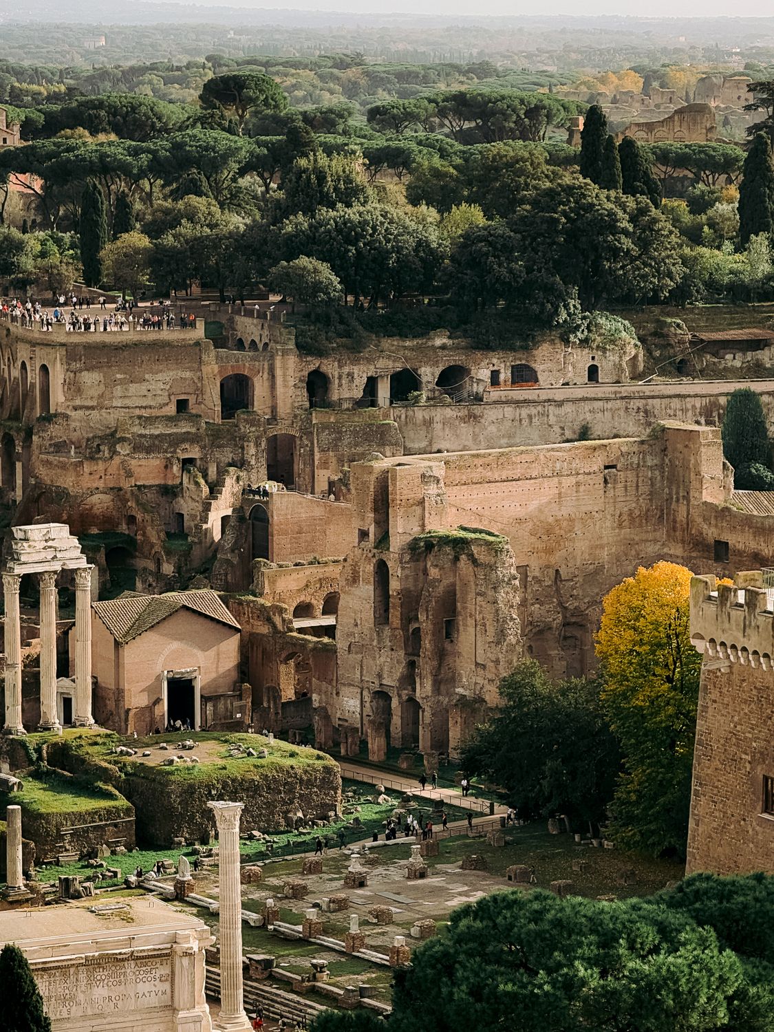 Ancient Roman Ruins in Rome, Italy · Free Stock Photo