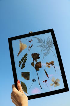Elegant display of dried flowers in a black frame held up against a clear blue sky.