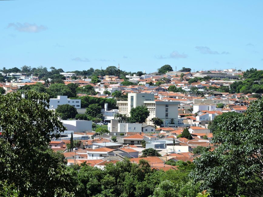 Dedetização no bairro Líder Chapecó com Atendimento Rápido
