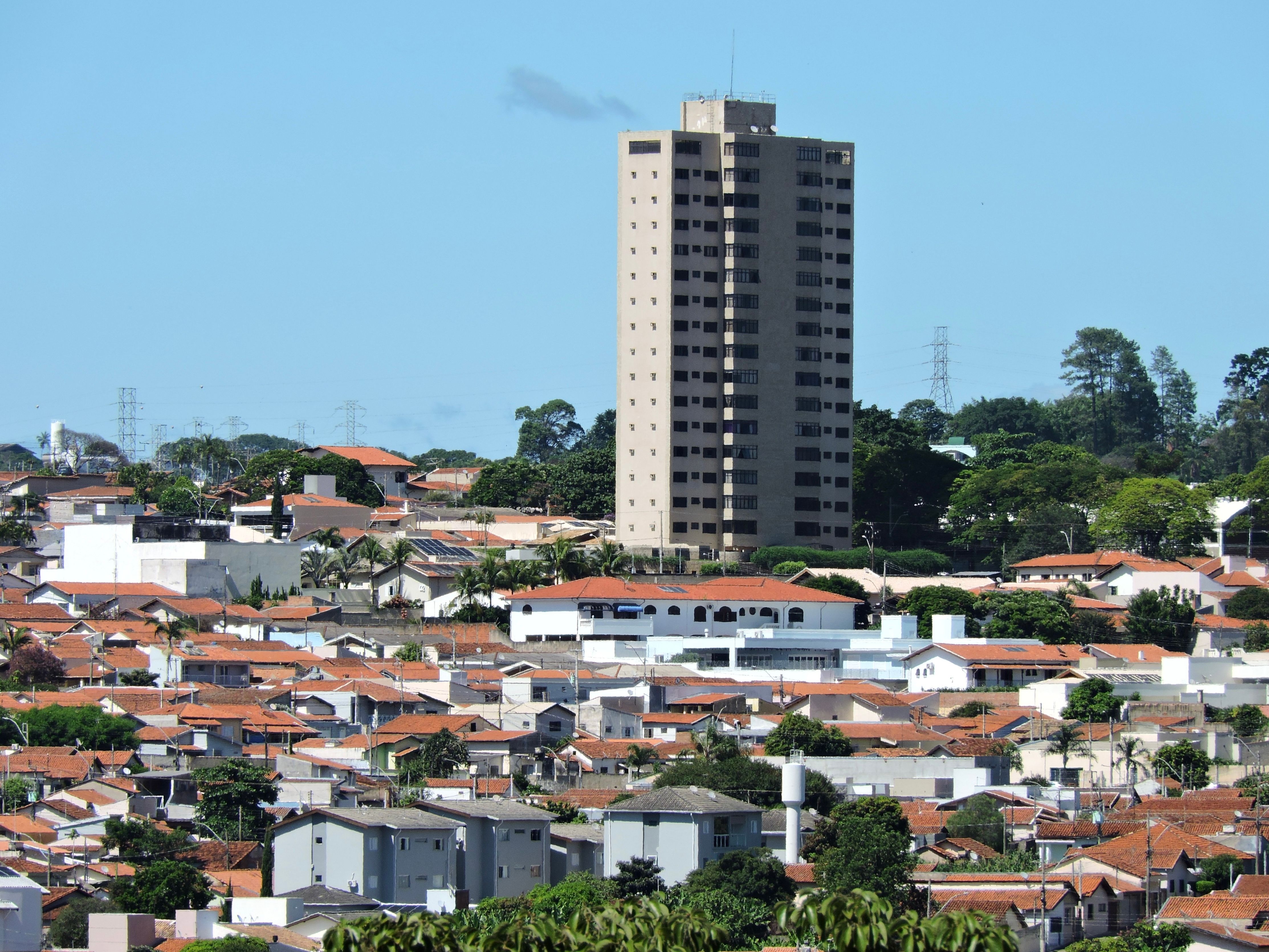 Foto: Rafael  Rodrigues / Pexels