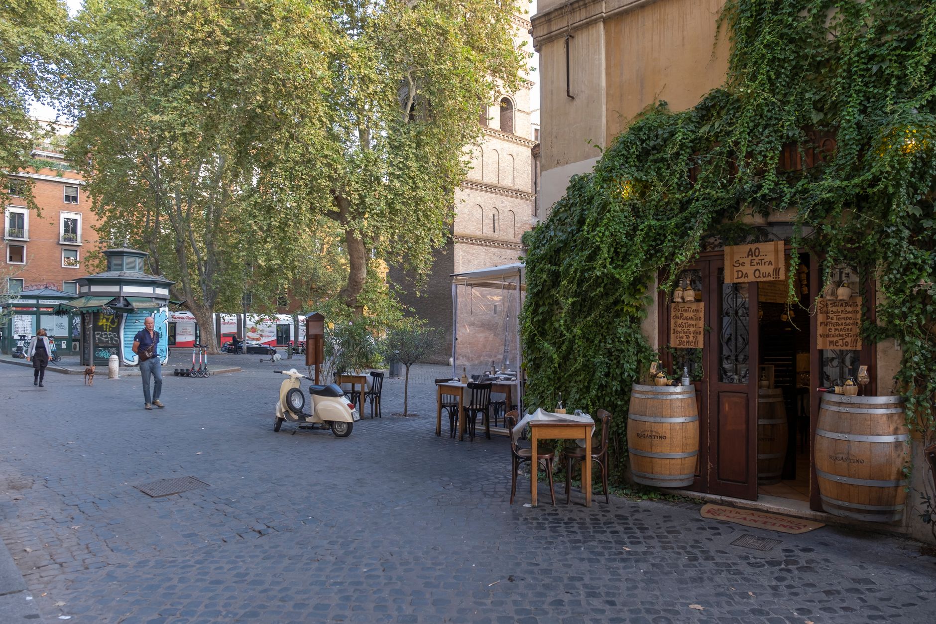 An ivy-covered café and a parked scooter on a street in Trastevere, Rome, Italy