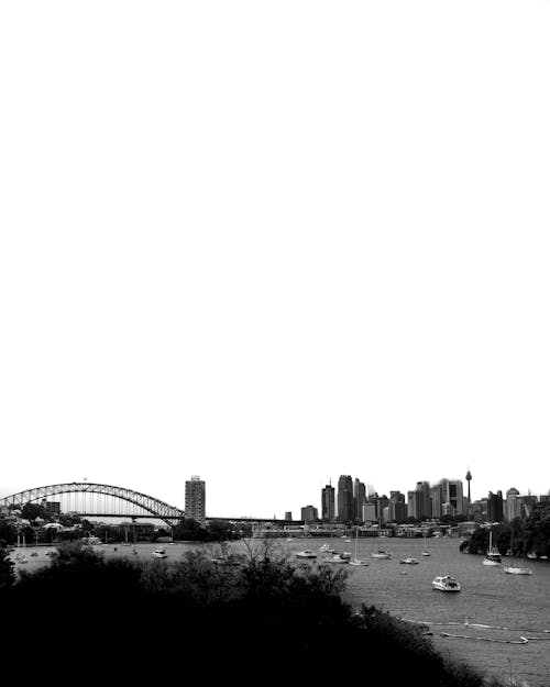 Základová fotografie zdarma na téma černobílá fotografie, mořské zátoky, opera v sydney