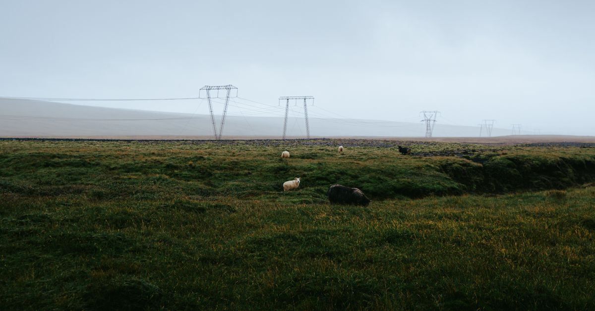 Photo of Iceland