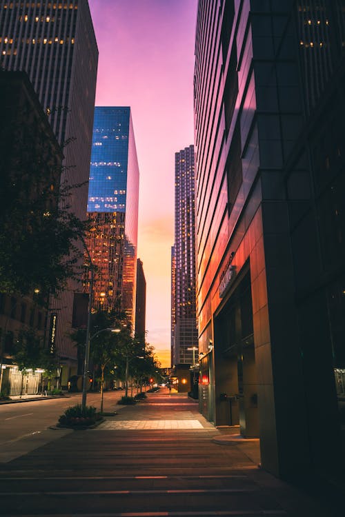 Free Empty Street Between High Rise Buildings during Nighttime Stock Photo