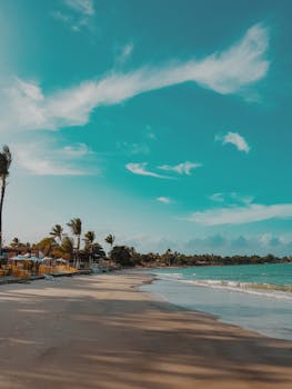 宁静的热带海滩上，棕榈树摇曳，海浪温和，非常适合度假或放松