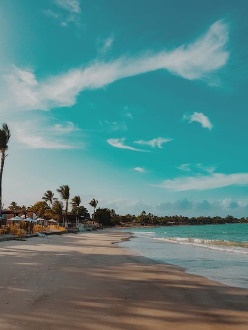 Free A tranquil tropical beach with palm trees and gentle waves, perfect for a vacation or relaxation. Stock Photo