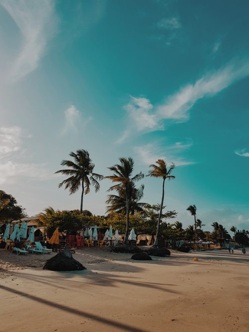 Free A serene tropical beach with palm trees, sun loungers, and a clear blue sky, perfect for vacation relaxation. Stock Photo