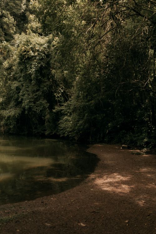 Free Serene lake surrounded by lush green forest, creating a tranquil and calming natural setting. Stock Photo
