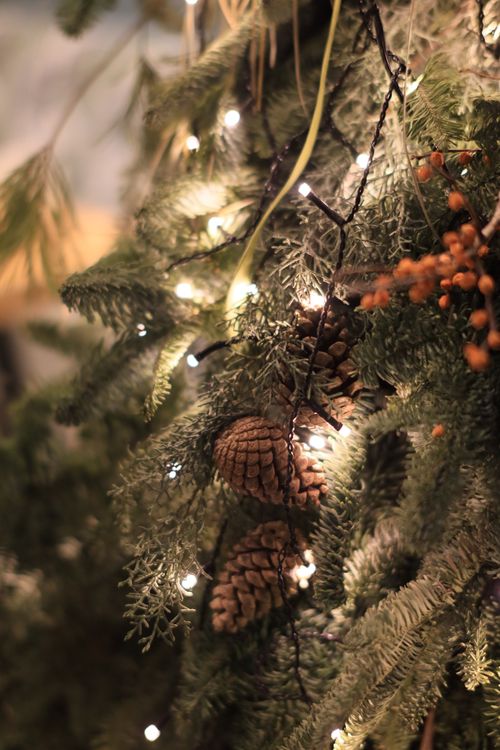 Adorno Navideño Rústico En Pino · Foto de stock gratuita