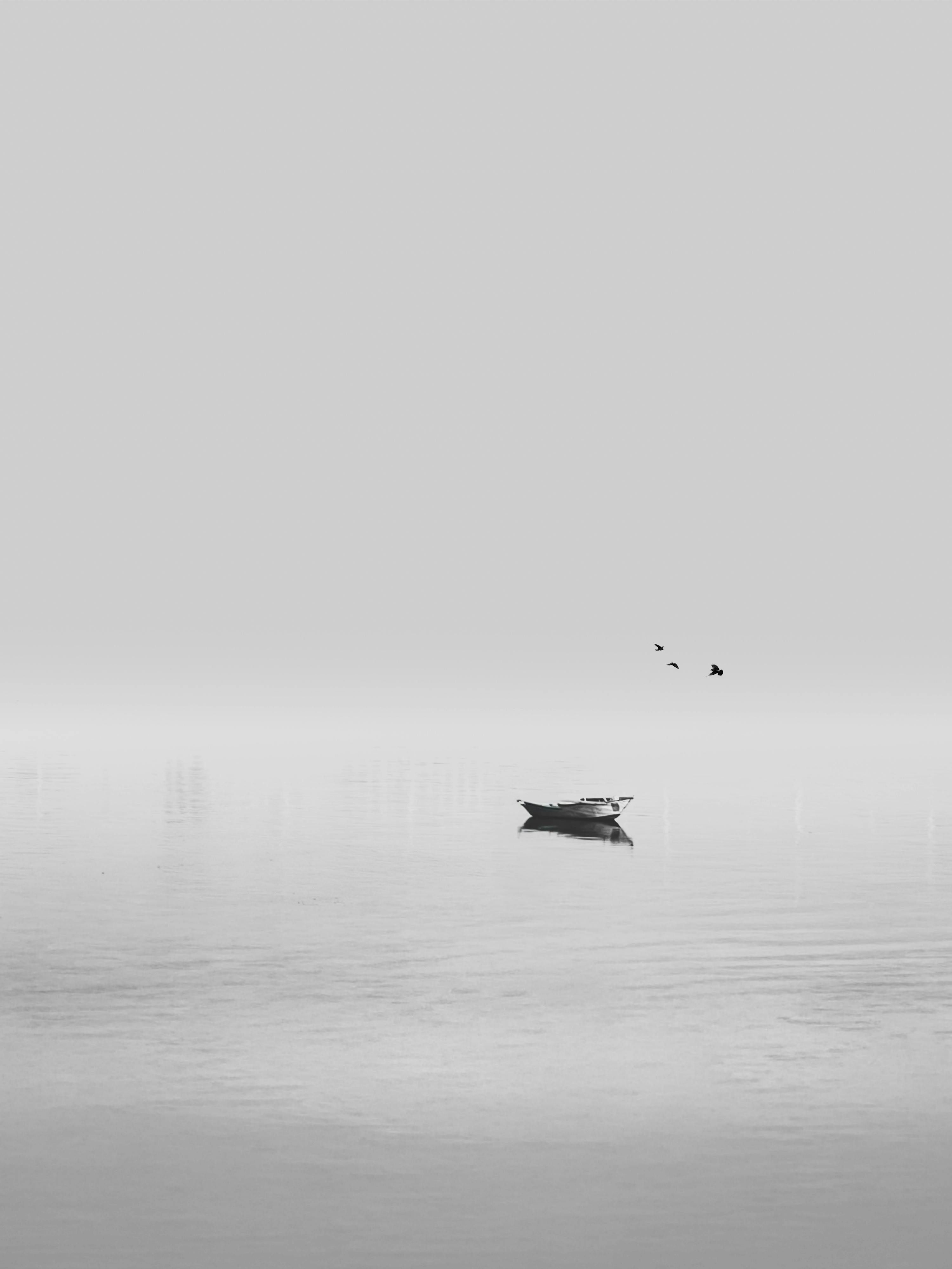 bezplatná Minimalistická černobílá fotografie lodi a ptáků na řece Nil v Egyptě. Základová fotografie