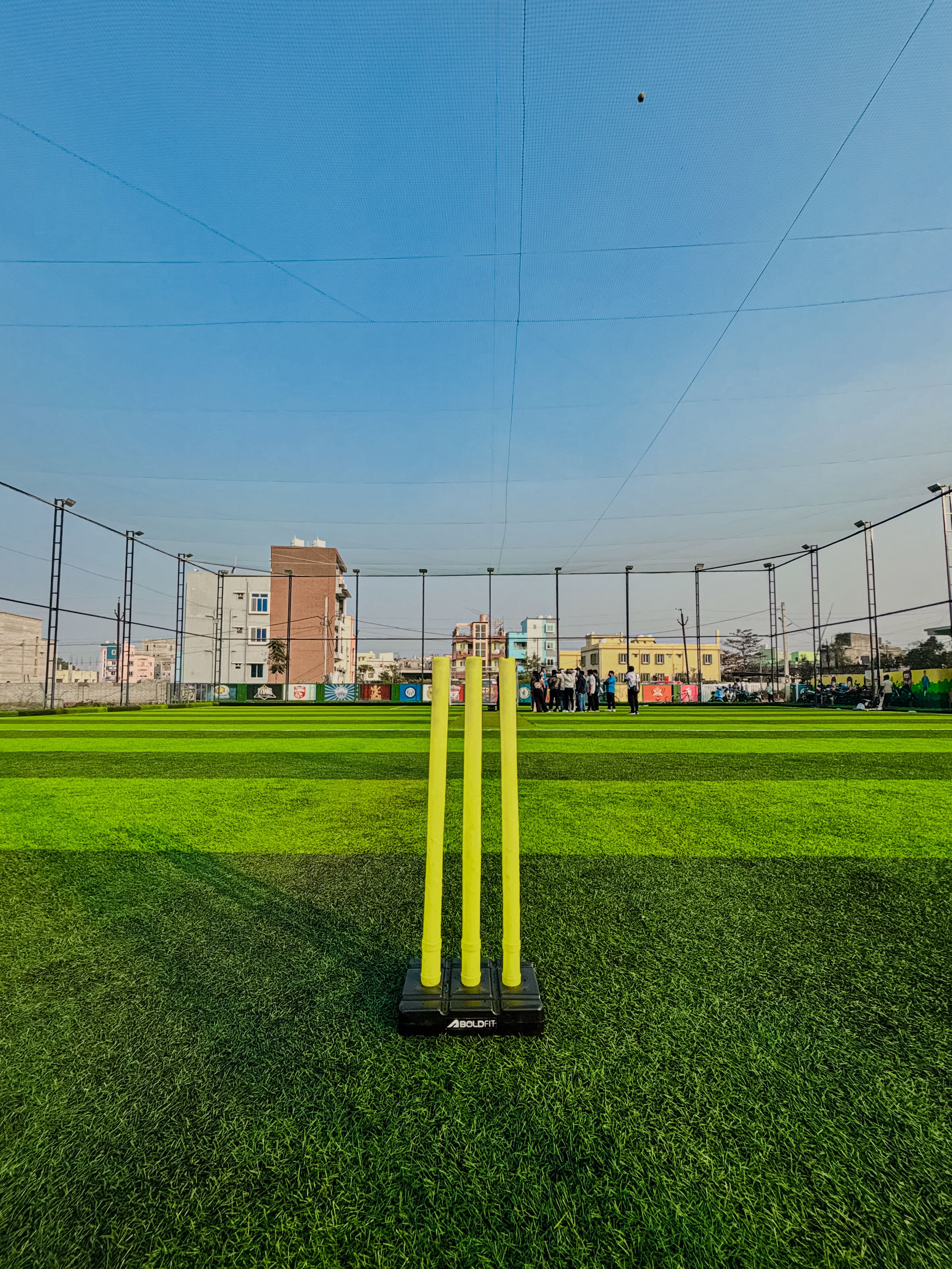Cricket Pitch