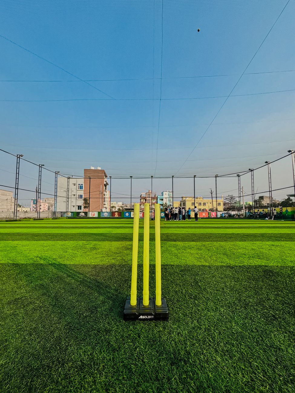 Cricket Pitch