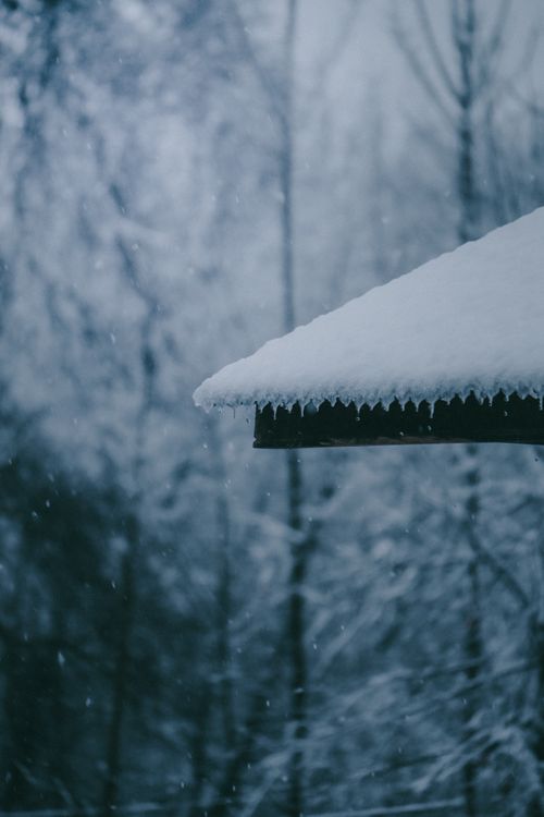 Free A snowy winter scene with a roof covered in snowflakes and forest background. Stock Photo