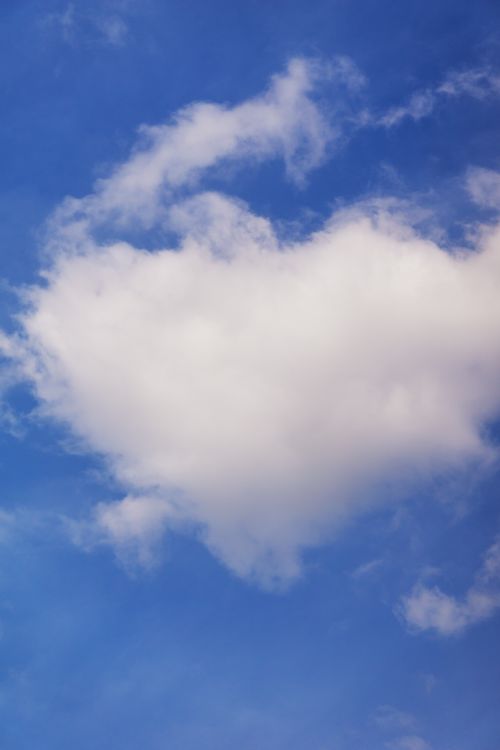 Free A soft white cloud floats peacefully in a clear blue sky. Stock Photo