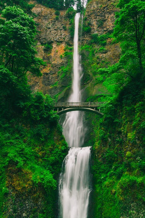 Free Bridge Near Waterfall Stock Photo