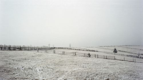Free Serene winter scene with snow-covered fields and rustic fences in Cluj-Napoca, Romania. Stock Photo