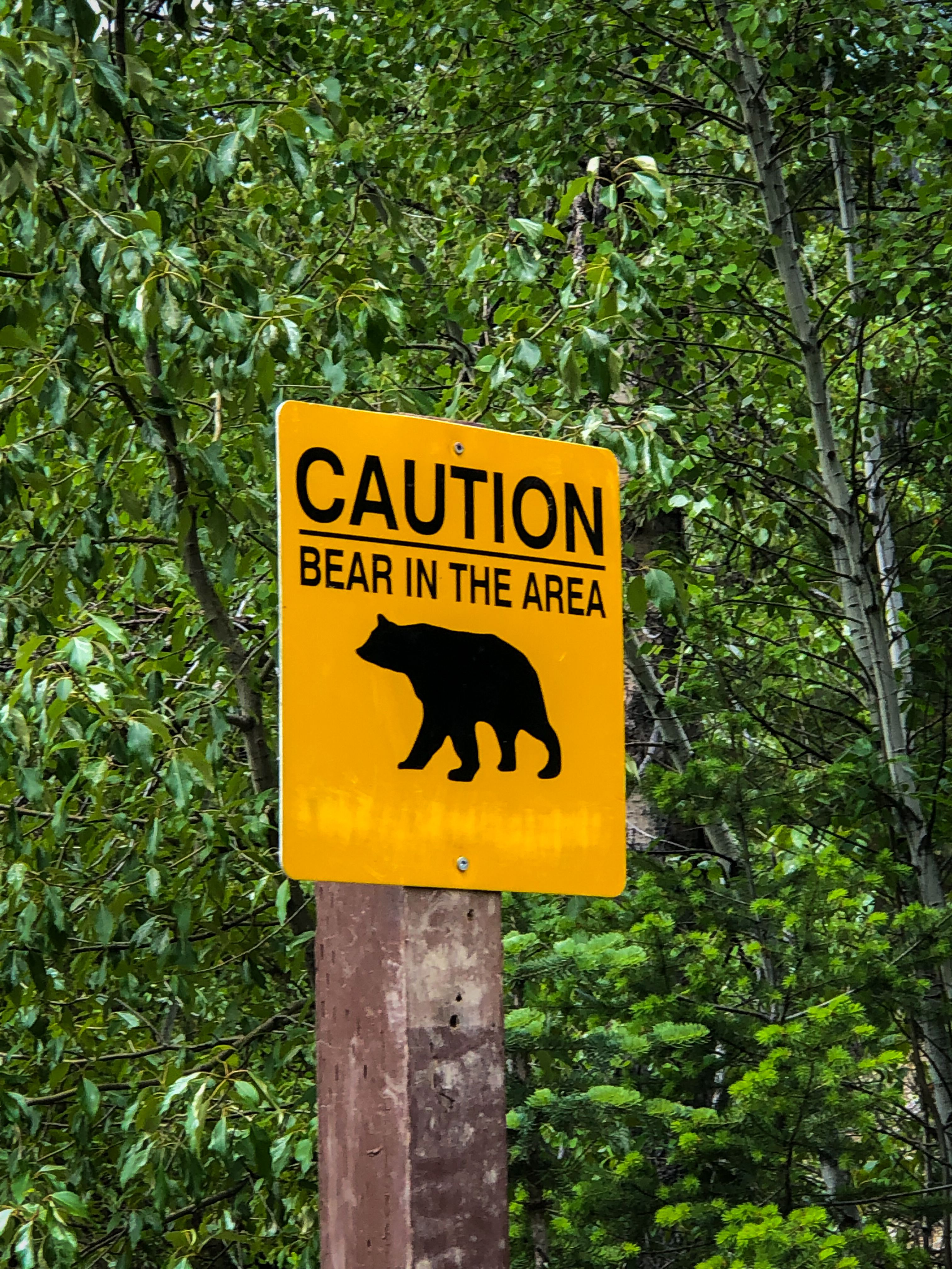 Bear Greg - Extended Vacation On Trantor