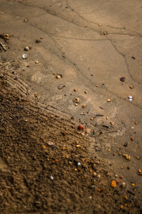 Free Close-up of sandy beach with scattered pebbles, showcasing natural textures and earthy tones. Stock Photo