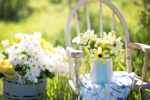 Free Flowers in Vase on Chair Stock Photo