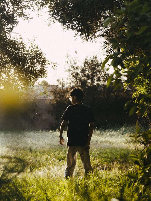 Free A boy stands in a sunlit garden, surrounded by greenery, evoking serenity and exploration. Stock Photo
