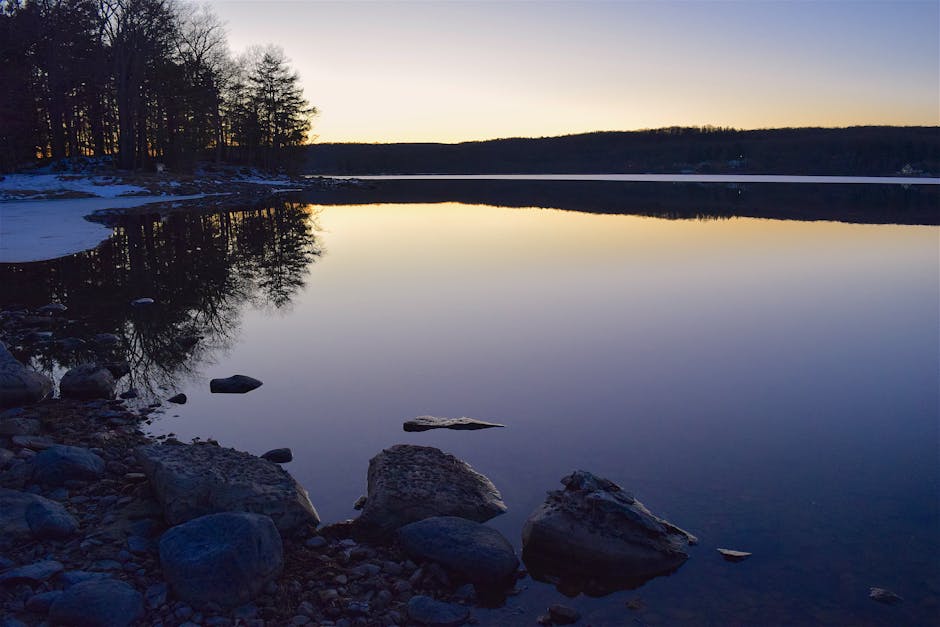 Beautiful Nature Scenes for a Peaceful Morning