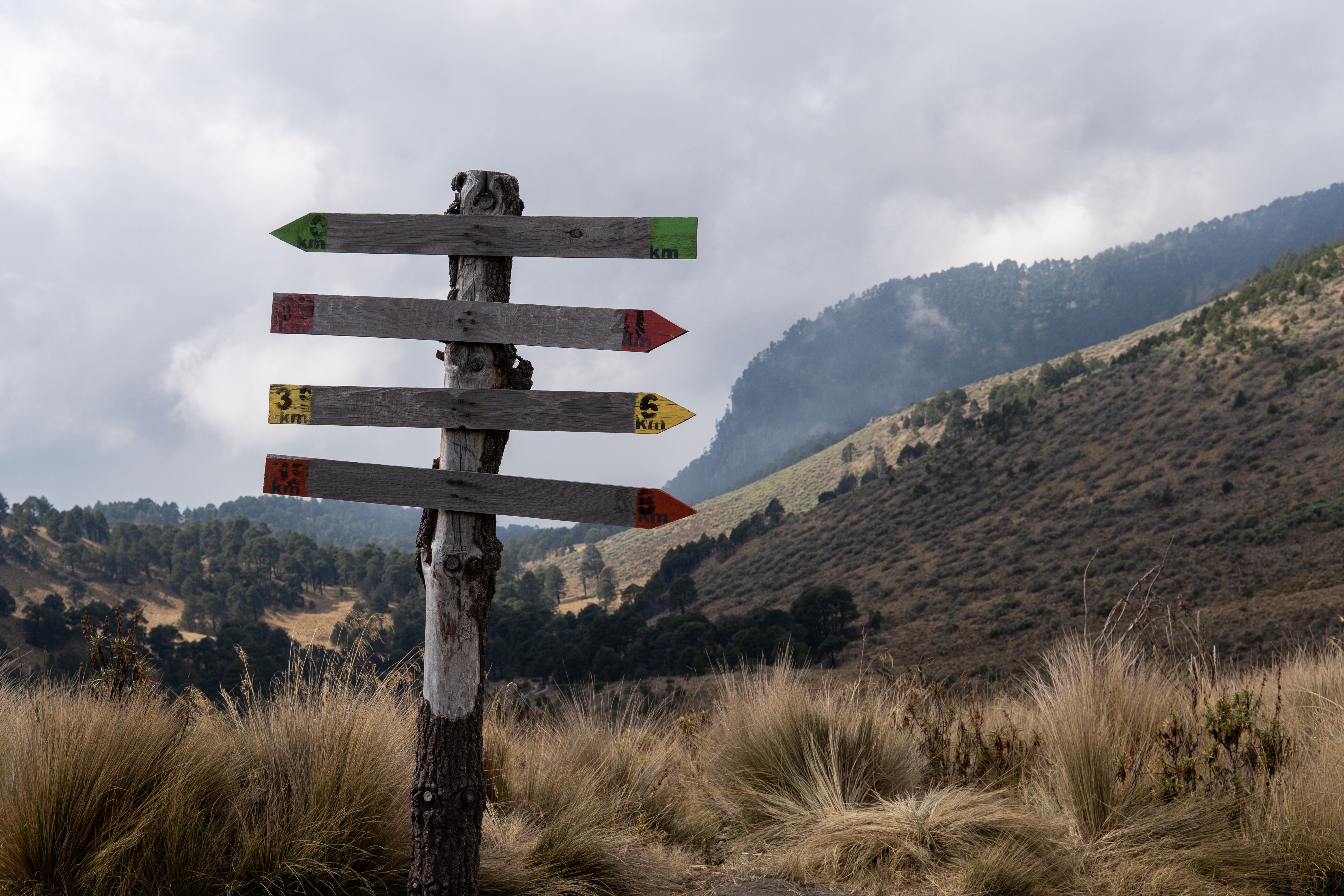 three arrows pointing different directions signpost