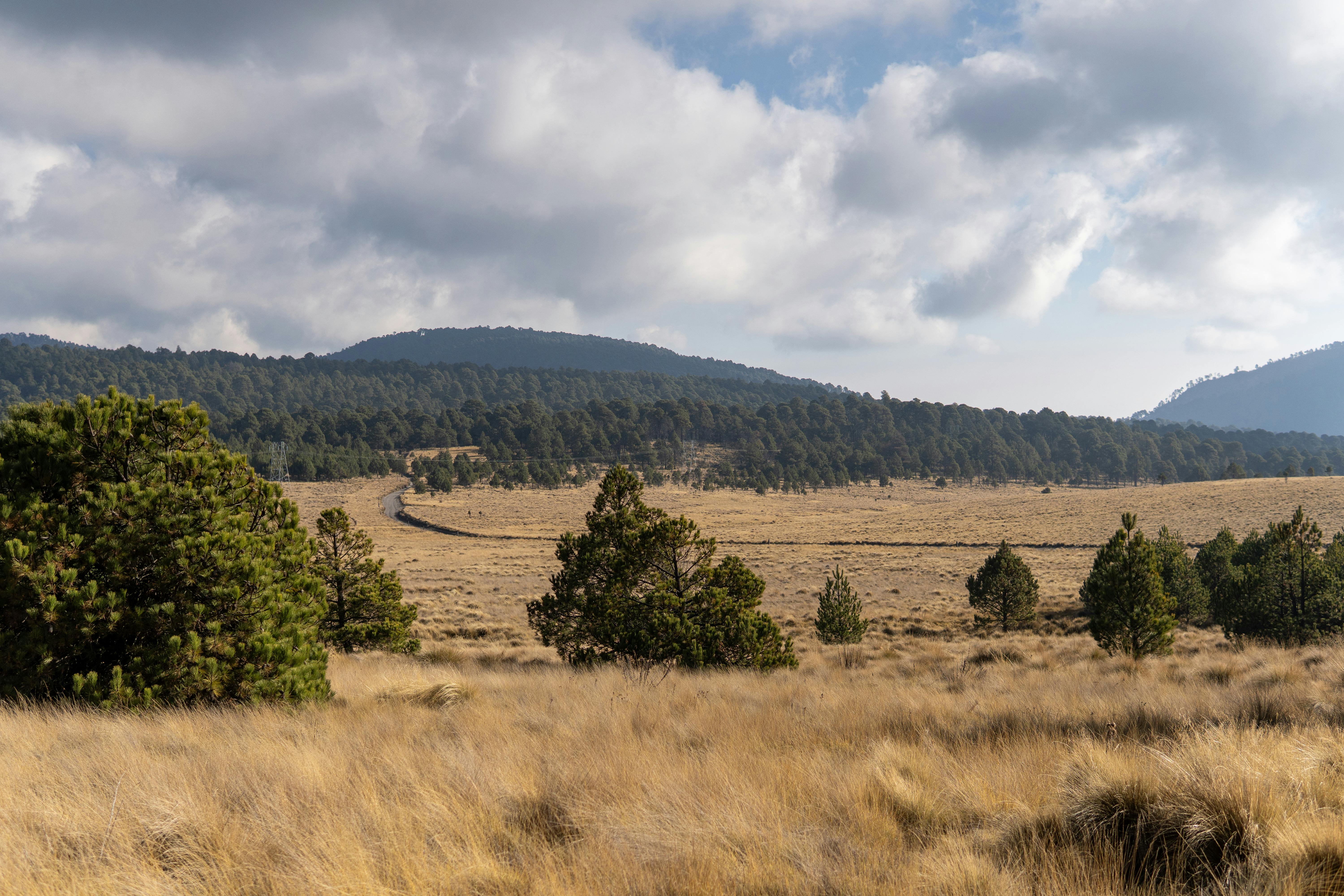 Explore the scenic beauty of Puebla, Mexico with this vibrant landscape featuring mountains and blue skies.