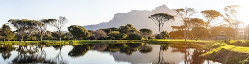 Photographie Panoramique Des Arbres Et Des Montagnes