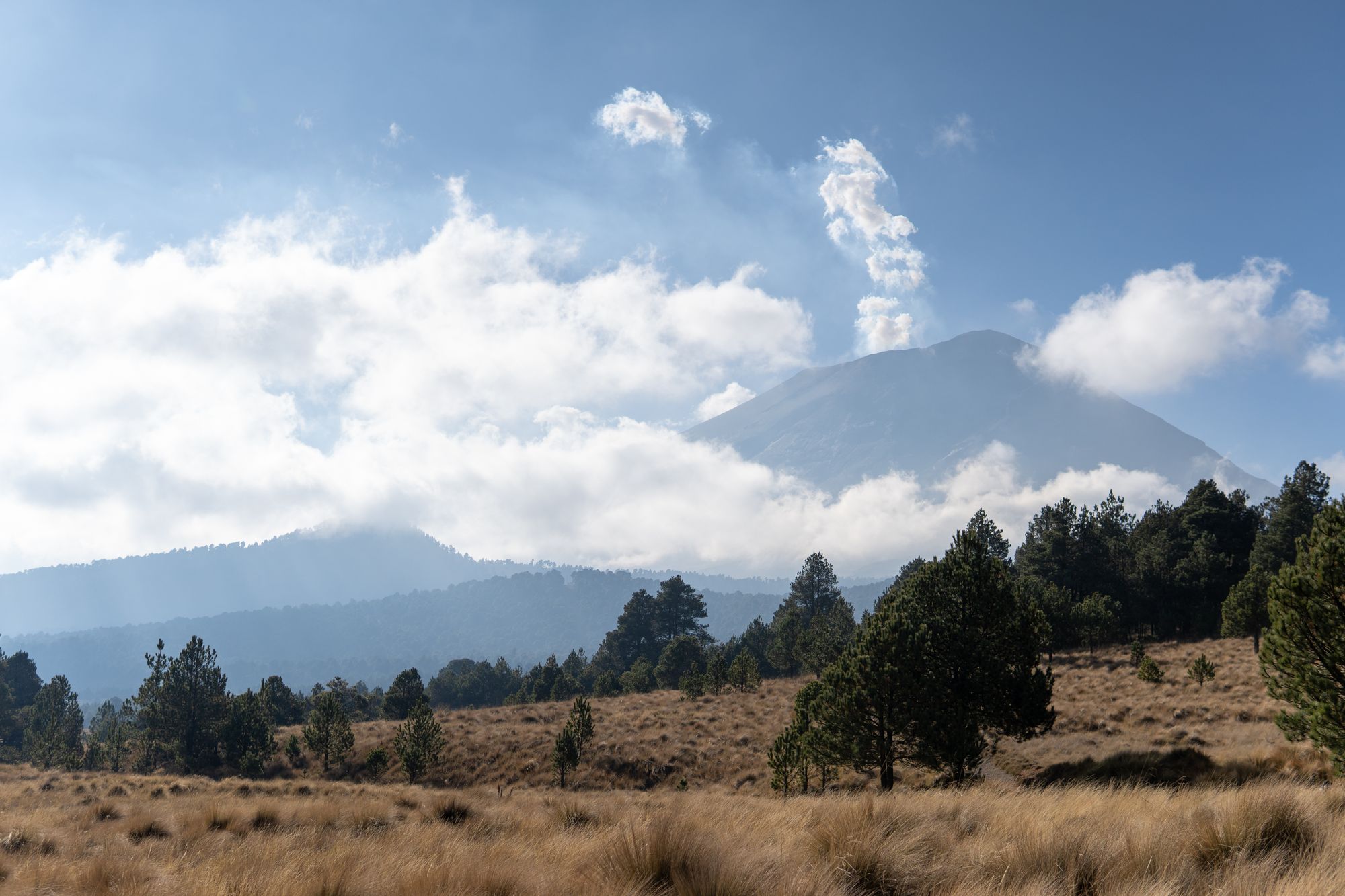 Stunning view of Popocatépetl volcano amidst clouds and trees in Puebla, Mexico.