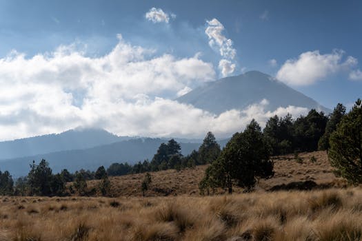 Volcanoes National Park, Rwanda photo 12