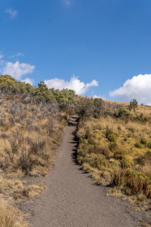 Free Scenic hiking trail under a clear blue sky in Paso de Cortes, Puebla, Mexico. Stock Photo