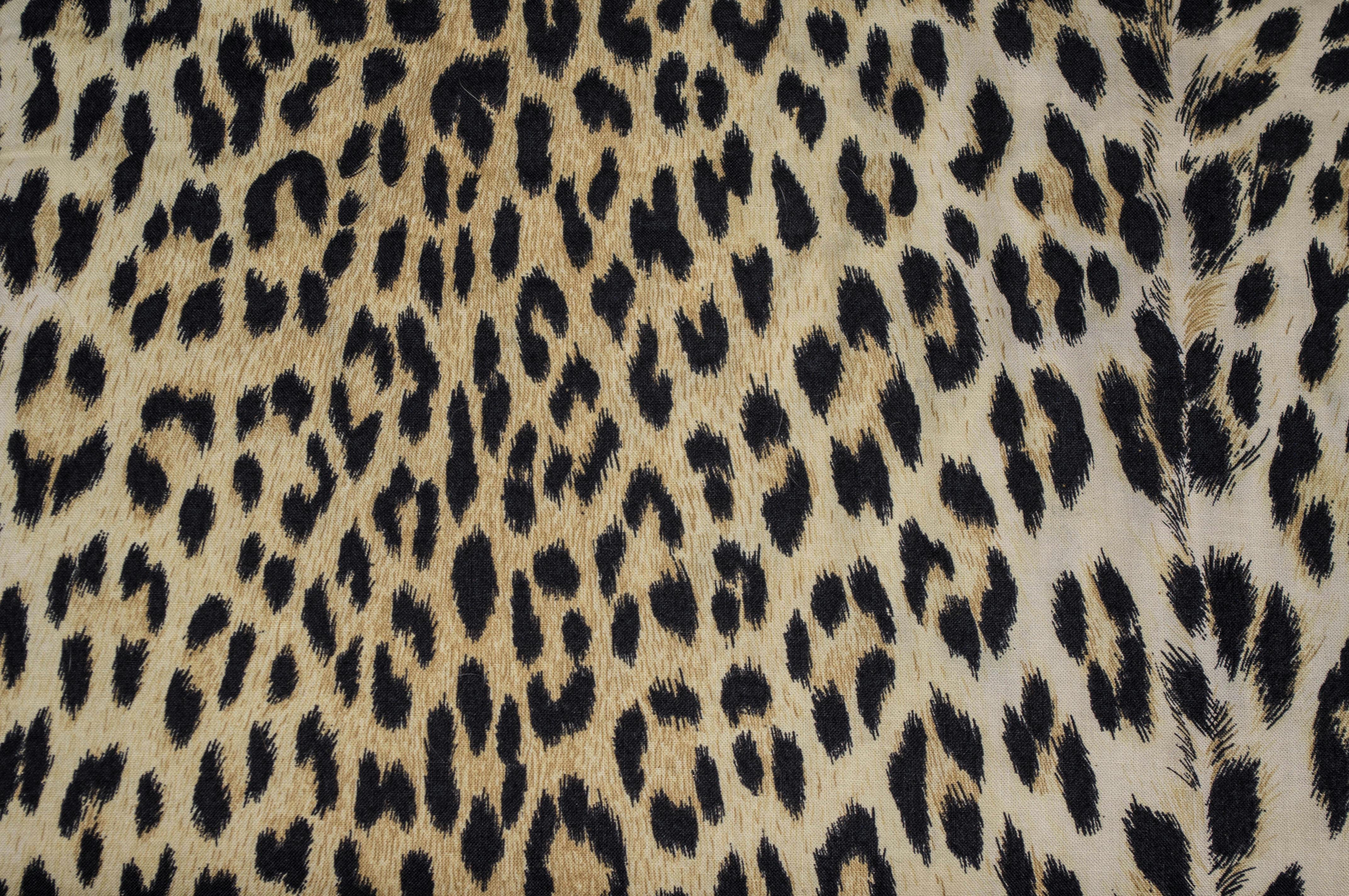 مدينة شفشاون