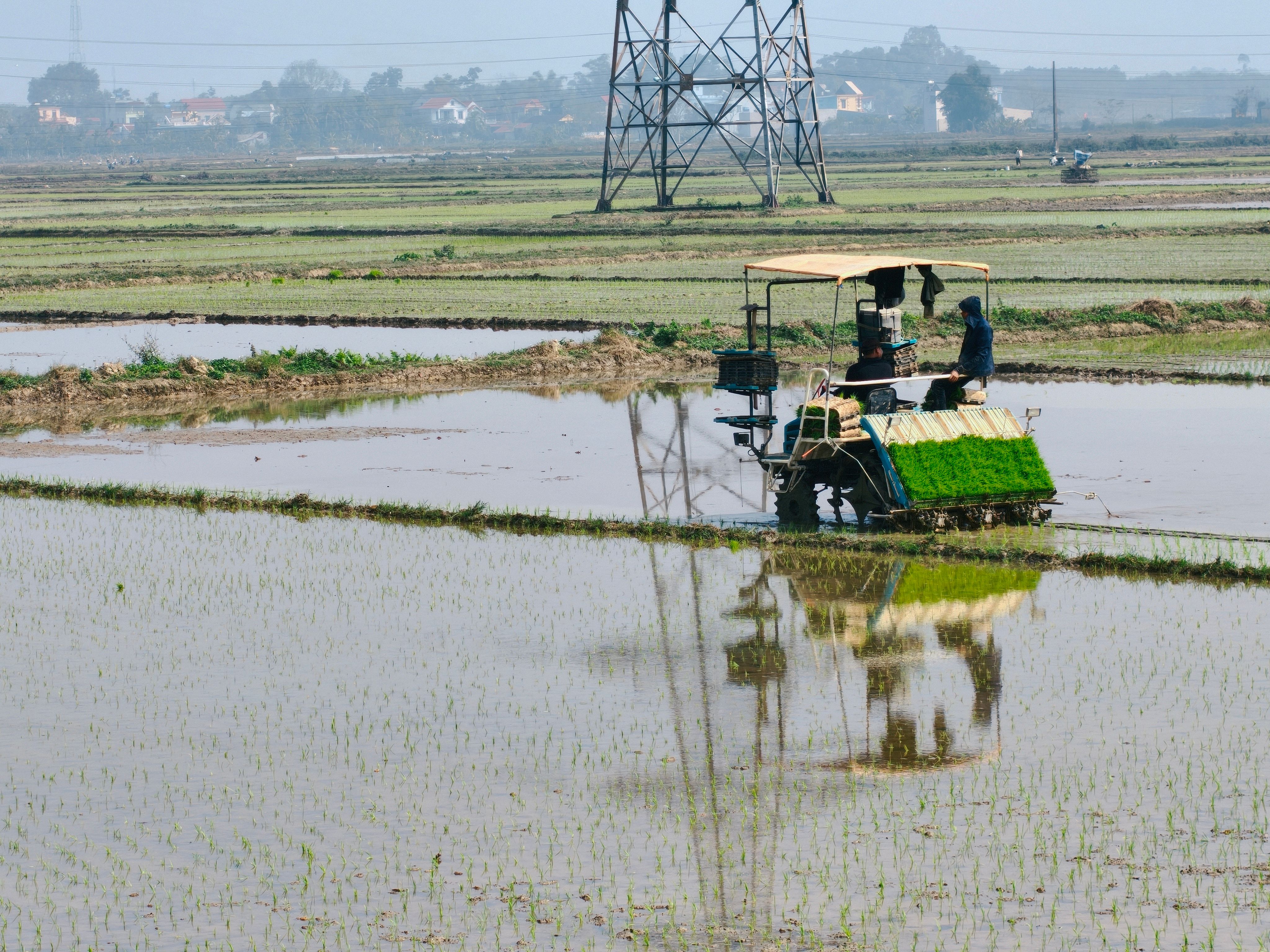 Agricultural Machine in Flooded Rice Field · Free Stock Photo