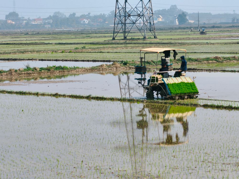 Machine For Rice Fieldd Agricultural Machine in Flooded Rice Field · Free Stock Photo