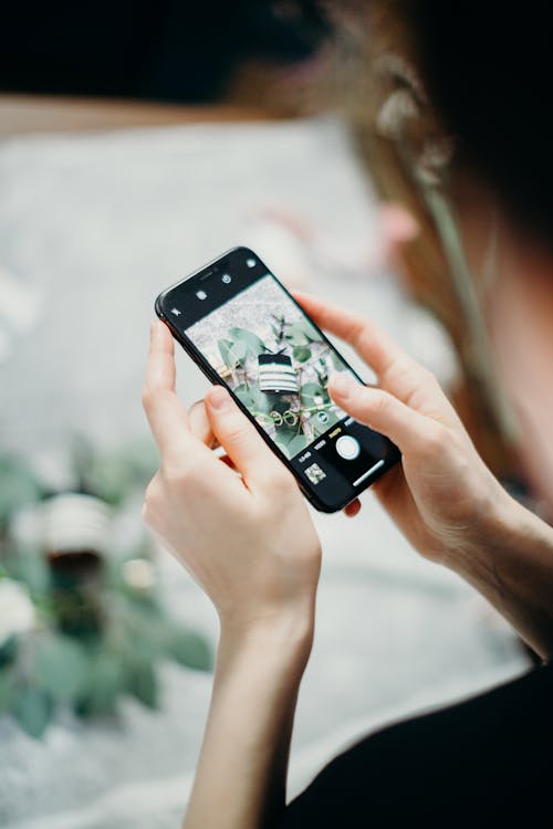 Person Taking Picture of Plant