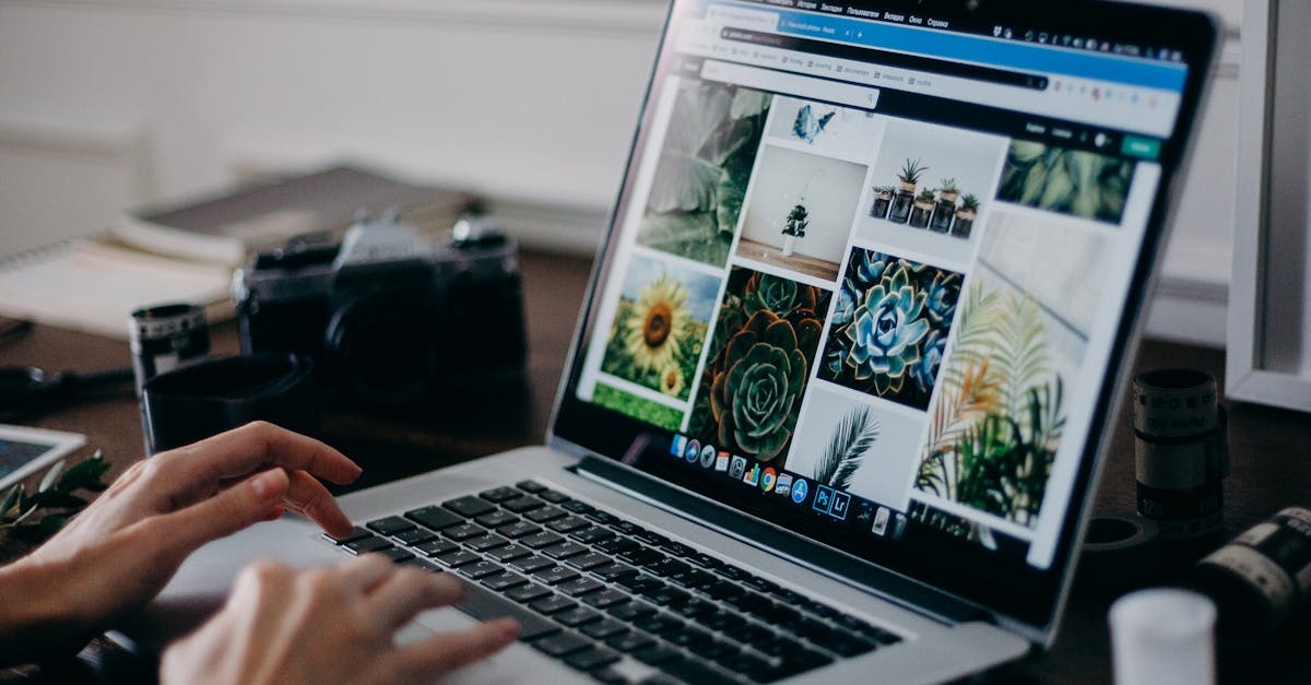 How to search for all PDF files on Mac