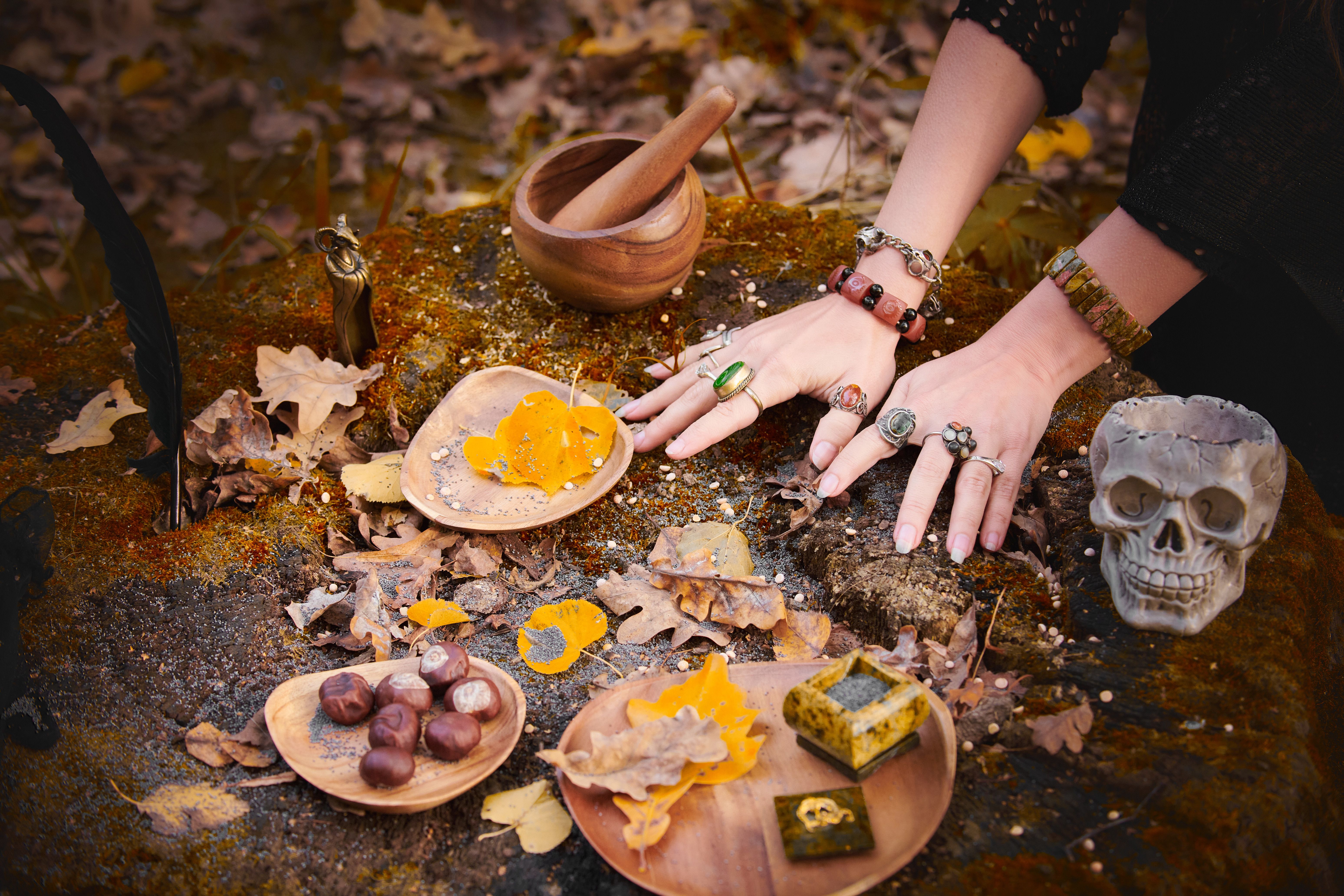 Autumn Ritual Setup with Skull and Leaves · Free Stock Photo