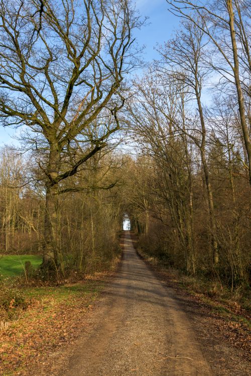 Free Tranquil tree-lined path during fall in Coesfeld, Germany perfect for nature walks. Stock Photo