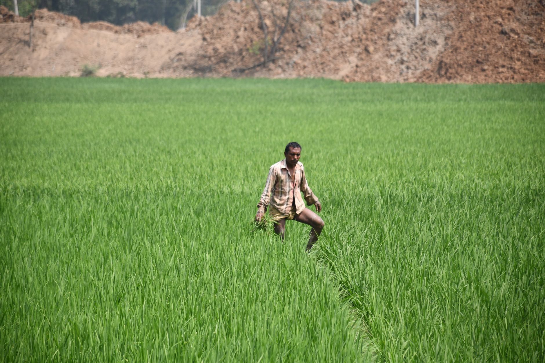 Farm Level Climate Mandates Threaten Wholesale Food Prices and Supply Chains