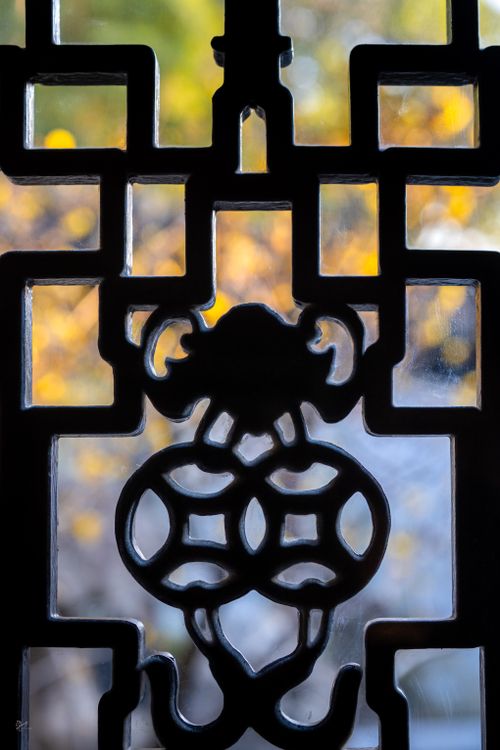 Free Silhouette of a traditional Chinese window against a blurred autumn background. Stock Photo