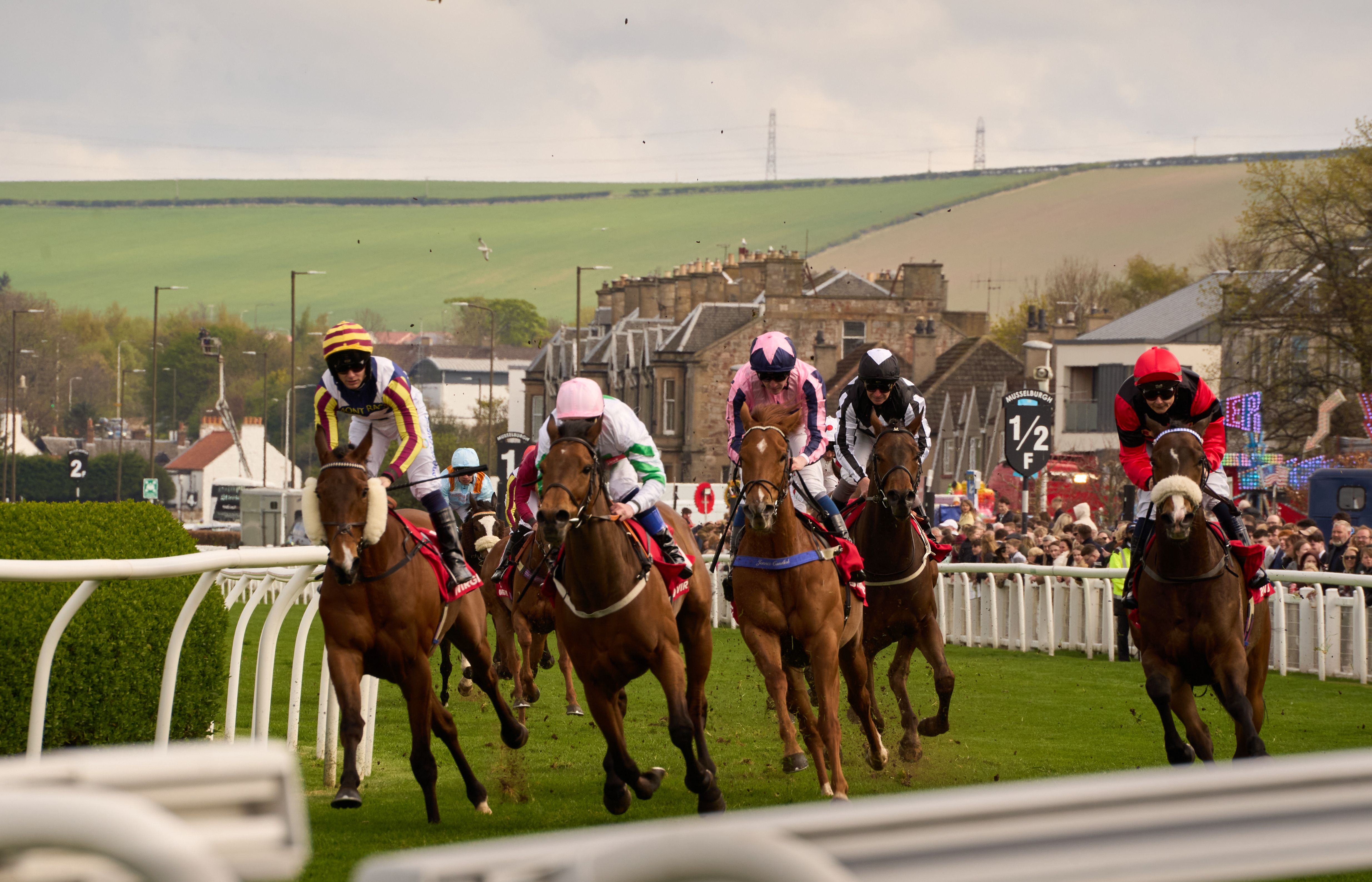 Gratuit Photos gratuites de action de course, bookmakers, cercle des gagnants Photos