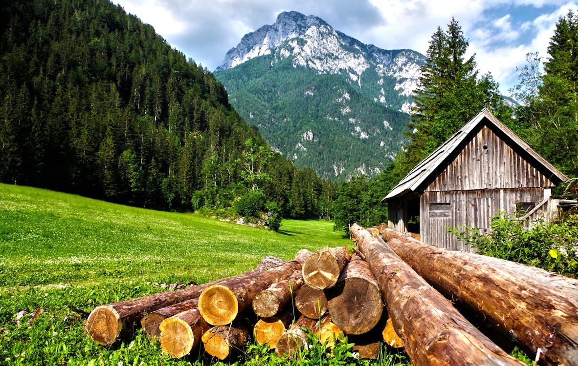 Brown Logs on Grass Field