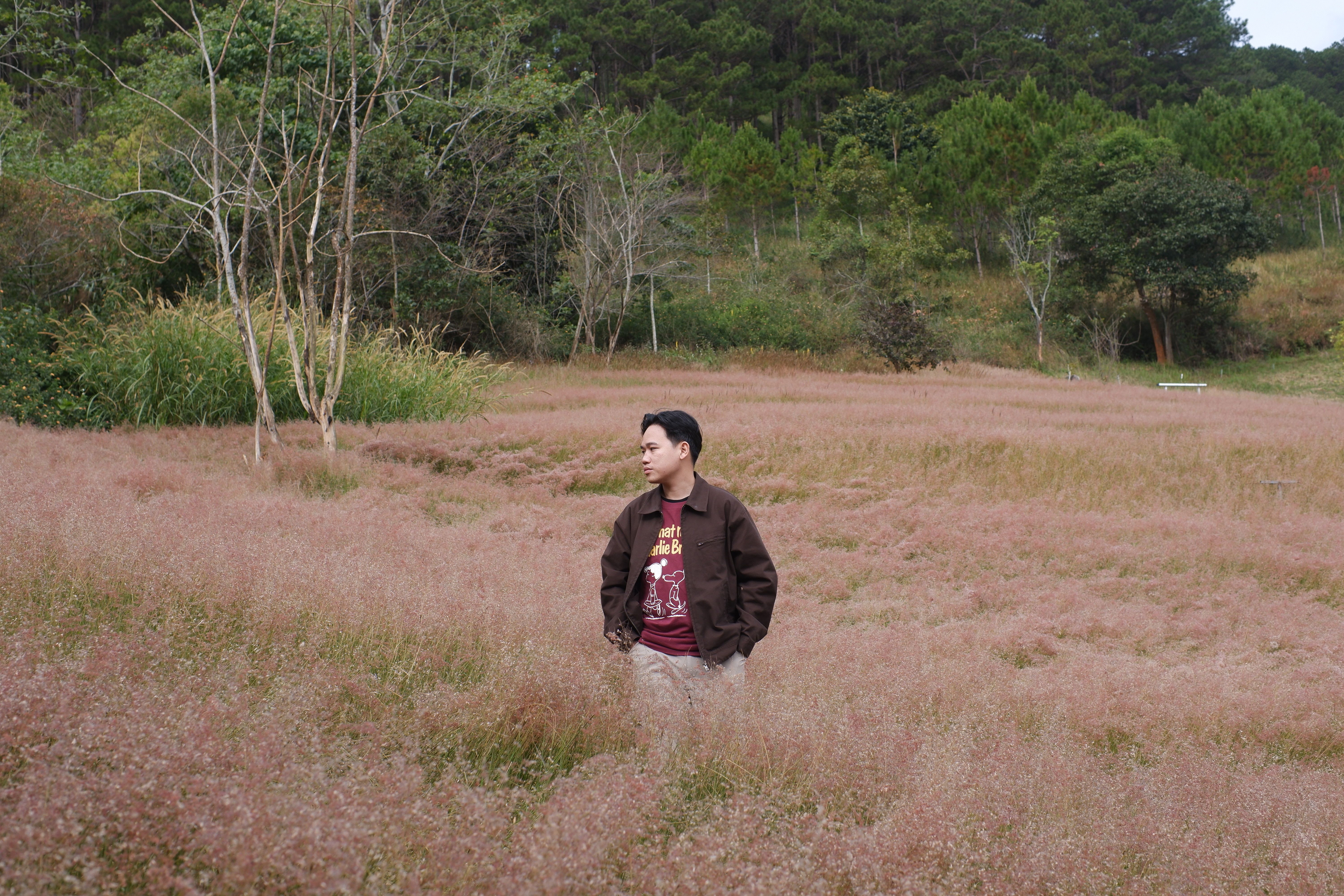 A man posing in a beautiful pink grass field surrounded by trees on a calm day.
