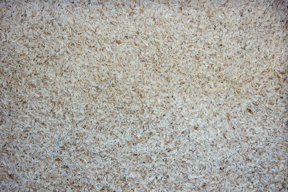 Detailed close-up of wood shavings surface, ideal for backgrounds or textures.