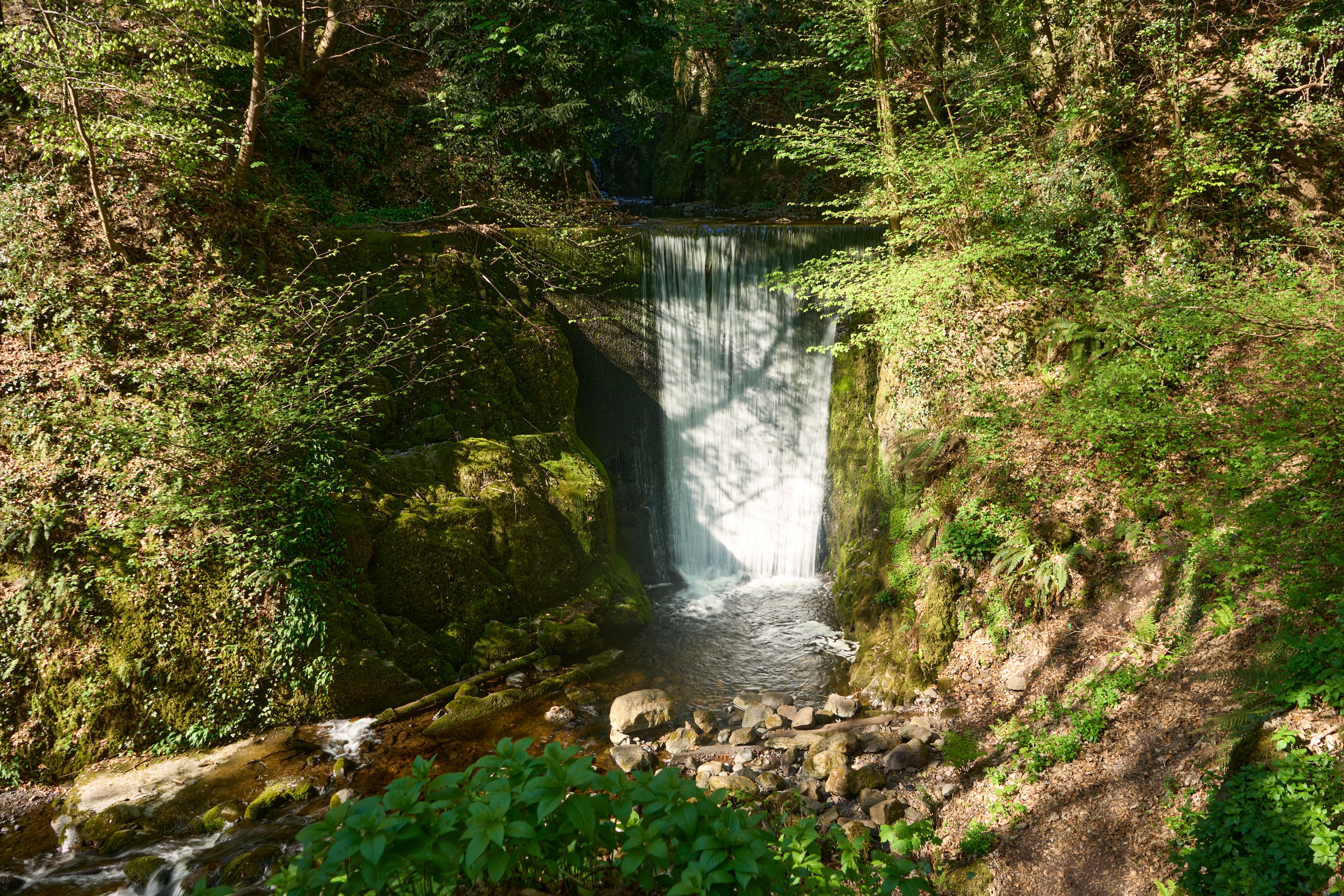 Gratuit Cascade paisible dans la vallée d'Alva, baignée par la lumière tachetée de l'automne, en Écosse. Photos